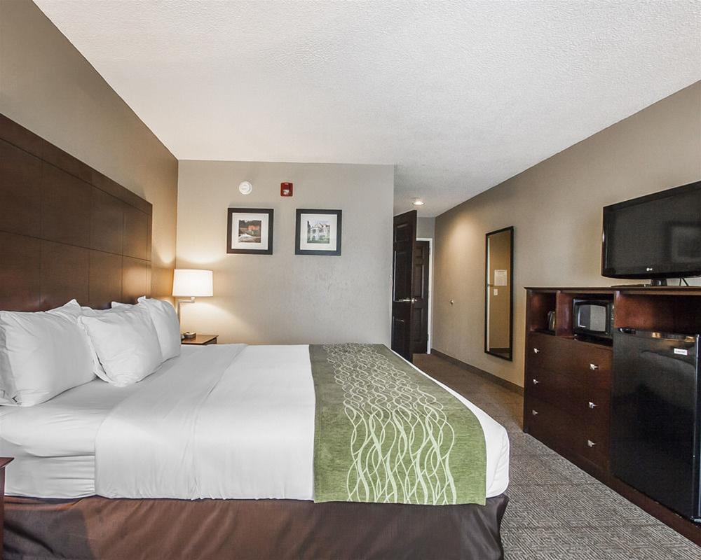 Comfort Inn Us Hwy 80 Demopolis Eksteriør billede